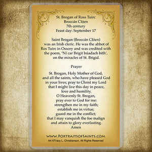 St. Brogan Holy Card