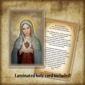 Immaculate Heart of Mary (A) Pendant & Holy Card Gift Set