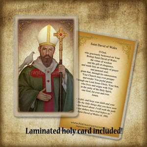 St. David of Wales Pendant & Holy Card Gift Set
